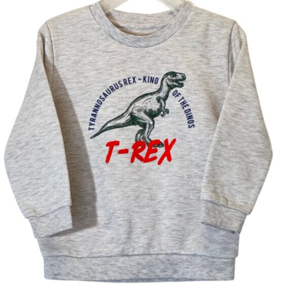 Boy's Sweatshirts Set of 3 Size 2-3Y - Picture 6 of 13